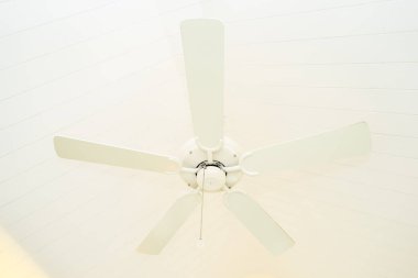 Beyaz tavan fan dekorasyon iç