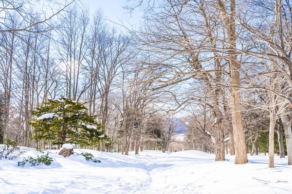 Beautiful landscape with tree in snow winter season — Stock Photo, Image