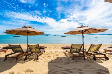 Hindistan cevizi palmiye ağacı ile güzel tropikal plaj deniz ve okyanus bir