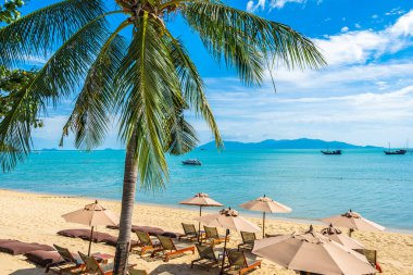 Hindistan cevizi palmiye ağacı ile güzel tropikal plaj deniz ve okyanus bir