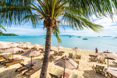 Hindistan cevizi palmiye ağacı ile güzel tropikal plaj deniz ve okyanus bir