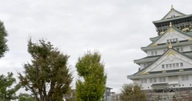 güzel geleneksel Japon pagoda doğal görüntüleri