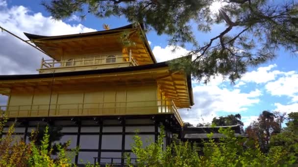 Scenic Footage Beautiful Traditional Japanese Pagoda — Stock Video