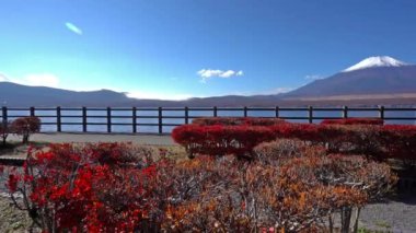 güzel dağ Fuji, Japonya doğal görüntüleri