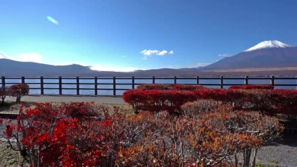 Images Panoramiques Belle Montagne Fuji Japon — Video