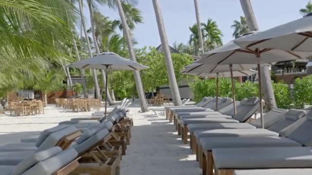 Beelden Van Strand Met Prachtige Palmbomen Ligbedden Zonnige Dag — Stockvideo