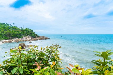Samui Adası etrafında güzel açık tropikal plaj deniz ile Co
