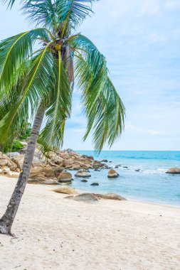 Samui Adası etrafında güzel açık tropikal plaj deniz ile Co