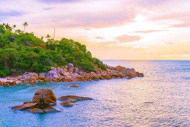 Samui Adası etrafında güzel açık tropikal plaj deniz ile Co