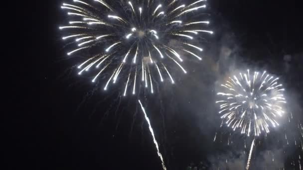 Close Footage Fireworks Exploding Night Sky — Stock Video