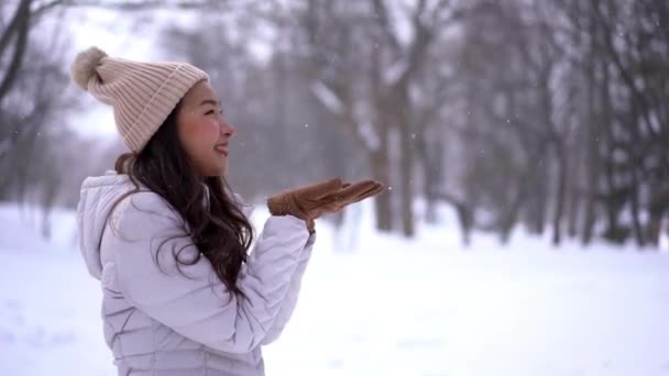 Beeldmateriaal Van Mooie Aziatische Vrouw Warme Kleren Staan Buiten Onder — Stockvideo