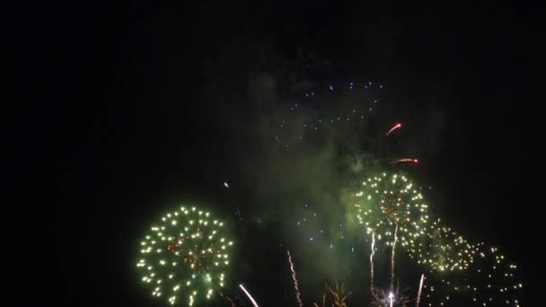 Close Footage Fireworks Exploding Night Sky — Stock Video