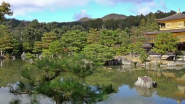 güzel geleneksel Japon pagoda doğal görüntüleri