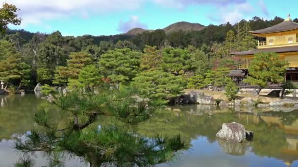 Natursköna Bilder Vackra Traditionella Japanska Pagoden — Stockvideo