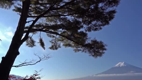 Güzel Dağ Fuji Japonya Doğal Görüntüleri — Stok video