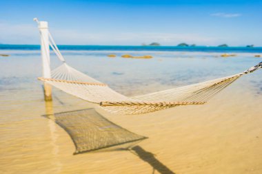 Holi için tropikal plaj deniz okyanusu etrafında güzel boş hamak