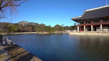 güzel geleneksel Japon pagoda doğal görüntüleri