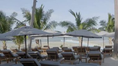 Güneşli bir günde güzel palmiye ağaçları ve güneşli yatakların olduğu kumsal görüntüleri.