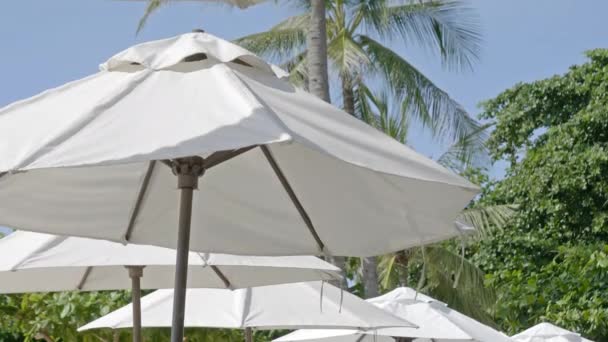 ビーチでの太陽の傘のクローズアップ映像 — ストック動画
