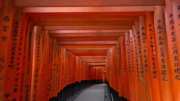 Riprese Panoramiche Della Porta Tori Attorno Tempio Fushimi Inari Kyoto — Video Stock