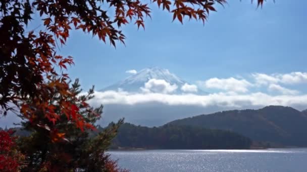 美丽的富士山的风景镜头 — 图库视频影像
