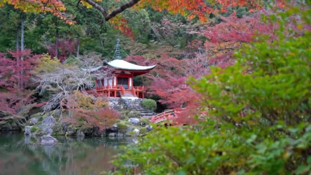Imágenes Escénicas Hermosa Pagoda Japonesa Tradicional — Vídeo de stock