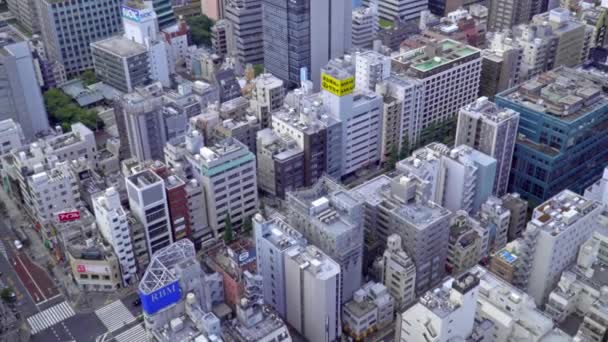 Imagens Cênicas Moderna Megalópole Cidade Asiática — Vídeo de Stock