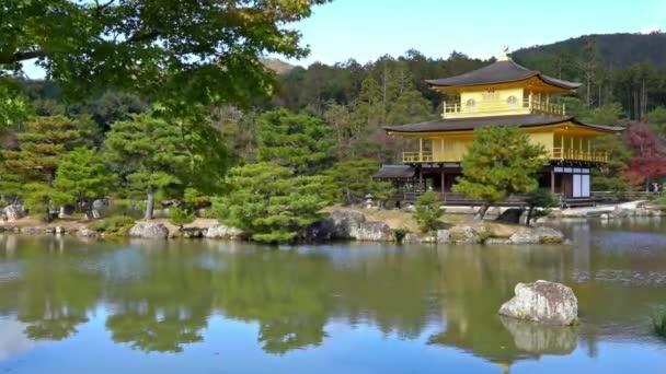 Schilderachtige Beelden Van Prachtige Traditionele Japanse Pagode — Stockvideo