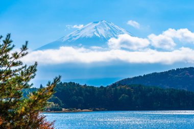 Dağ fuji ile akçaağaç yaprağı ağacın etrafında güzel manzara