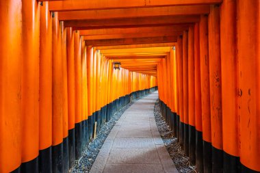 Güzel fushimi Inari tapınak tapınak Kyoto