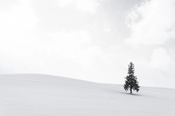 Prachtige buiten natuur landschap met alleen kerst boom in — Stockfoto
