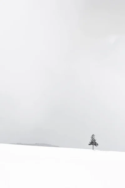 Prachtige buiten natuur landschap met kerstboom in de winter — Stockfoto