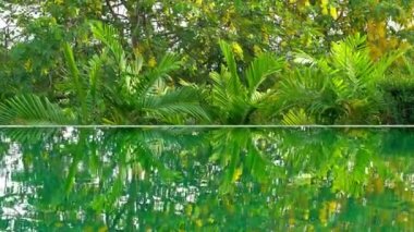 tatil otelinde sakin görüntü boş havuz