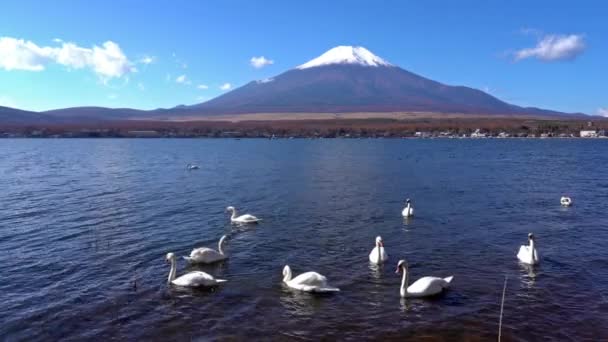 Живописные Кадры Красивой Горы Фудзи Япония — стоковое видео