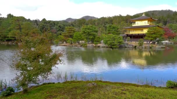 Natursköna Bilder Vackra Traditionella Japanska Pagoden — Stockvideo