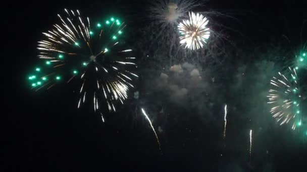 Riprese Ravvicinate Fuochi Artificio Che Esplodono Nel Cielo Notturno — Video Stock