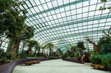 Çiçek kubbe Bahçesi ve greenhous bina güzel mimari