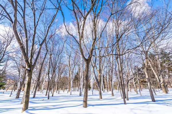 Beautiful landscape with tree in snow winter season — Stock Photo, Image