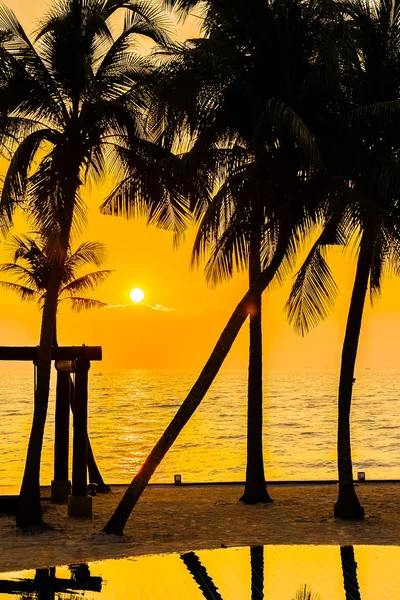 Belle Silhouette cocotier sur le ciel autour de la piscine po — Photo