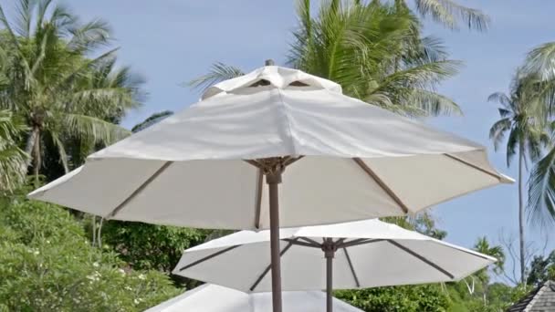 Plajda Güneş Şemsiyeleri Yakın Çekim Görüntüleri — Stok video
