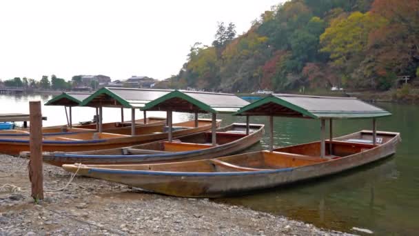 Imágenes Escénicas Hermoso Lago Con Barcos Día Soleado — Vídeo de stock