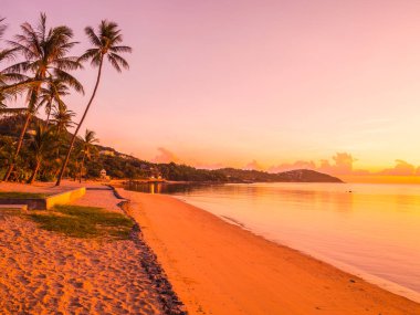 Güzel tropikal plaj deniz ve Hindistan cevizi palmiye ağacı ile okyanus