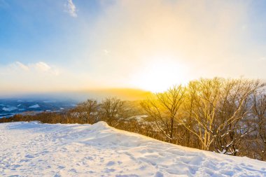 Dağın etrafından kar kış deniz ağacında ile güzel manzara