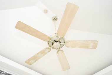 Beyaz tavan fan dekorasyon iç