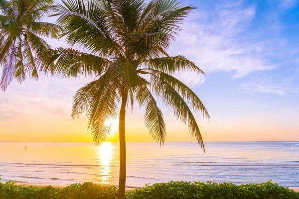 COC ile deniz Okyanusu plajının güzel açık tropikal manzara