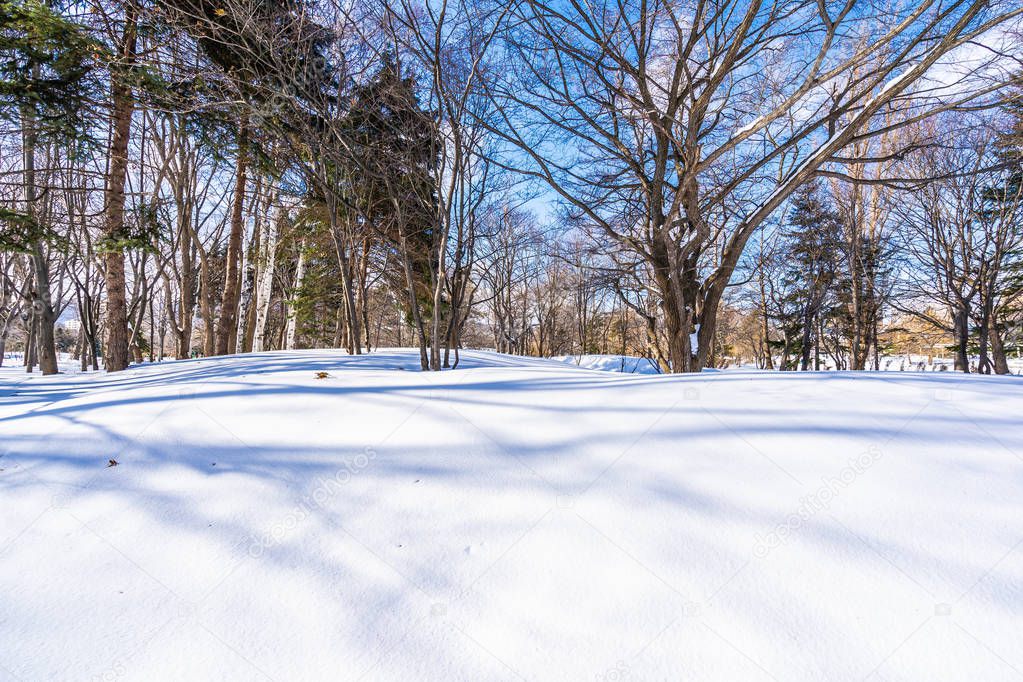 Beautiful landscape with tree in snow winter season