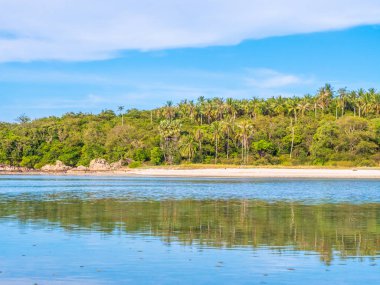 Güzel tropikal plaj ve deniz ile Hindistan cevizi hurma ağacı