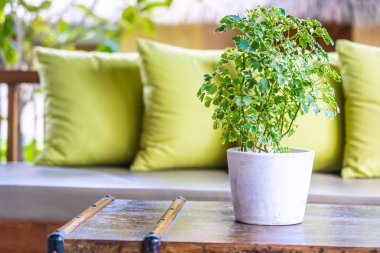 Koltuk koltuğu üzerinde yastık ile masa dekorasyonu vazo bitki