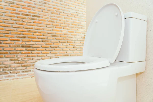 Weiße Toilettenschüssel und Sitz — Stockfoto