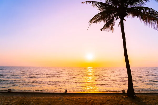美丽的剪影椰子棕榈树在天空接近海海洋是 — 图库照片